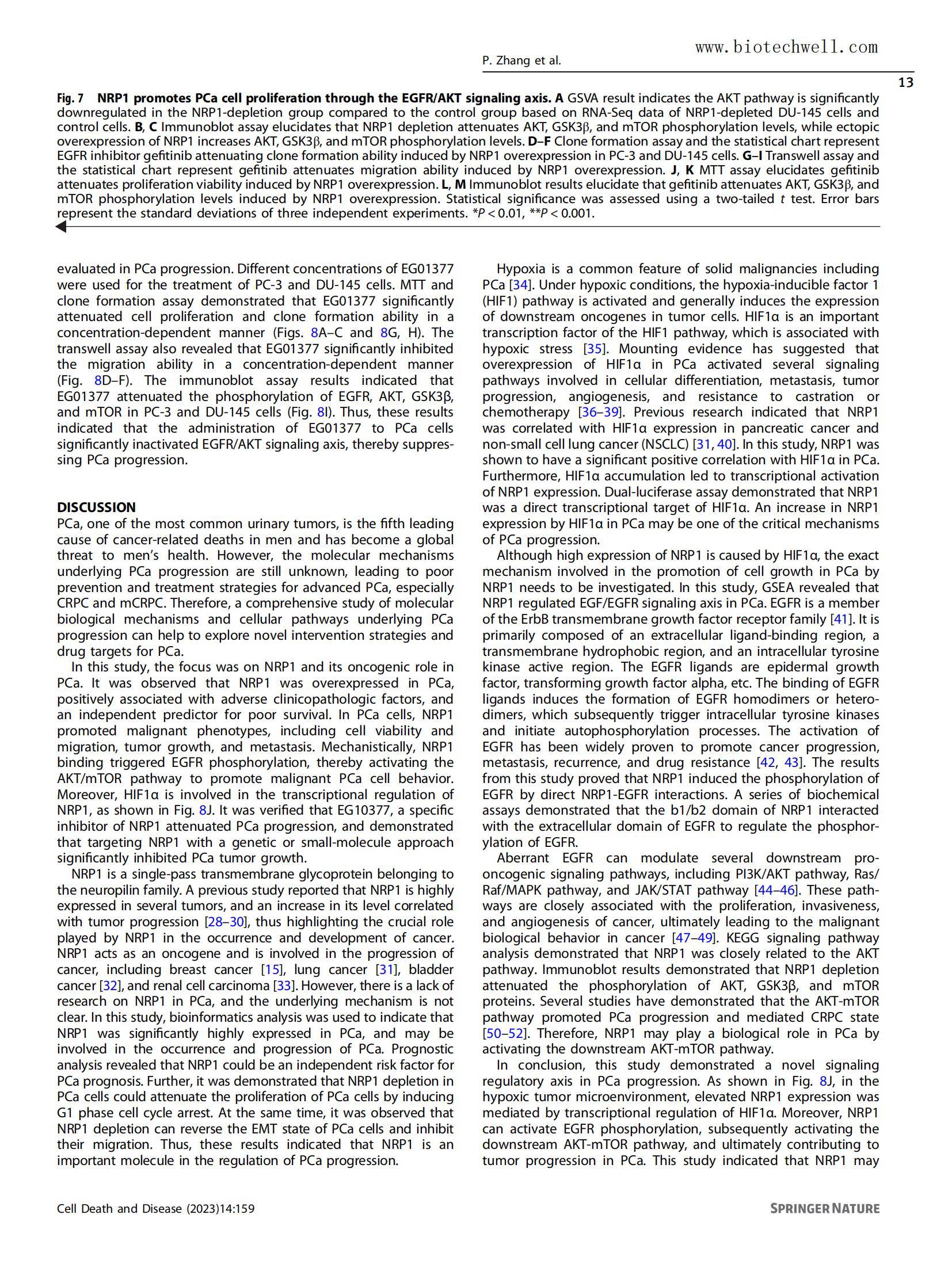 上海威奥前列腺癌组织芯片文献14