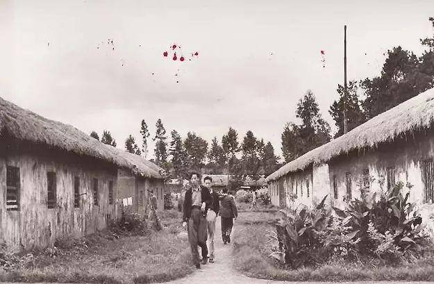 原创他是杨振宁同学,西南联大7年4专业,学贯中西却说"只是打杂的"_兆