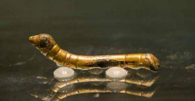 原创老汉捡到千年蚕宝宝借50元路费去上交结果咋样