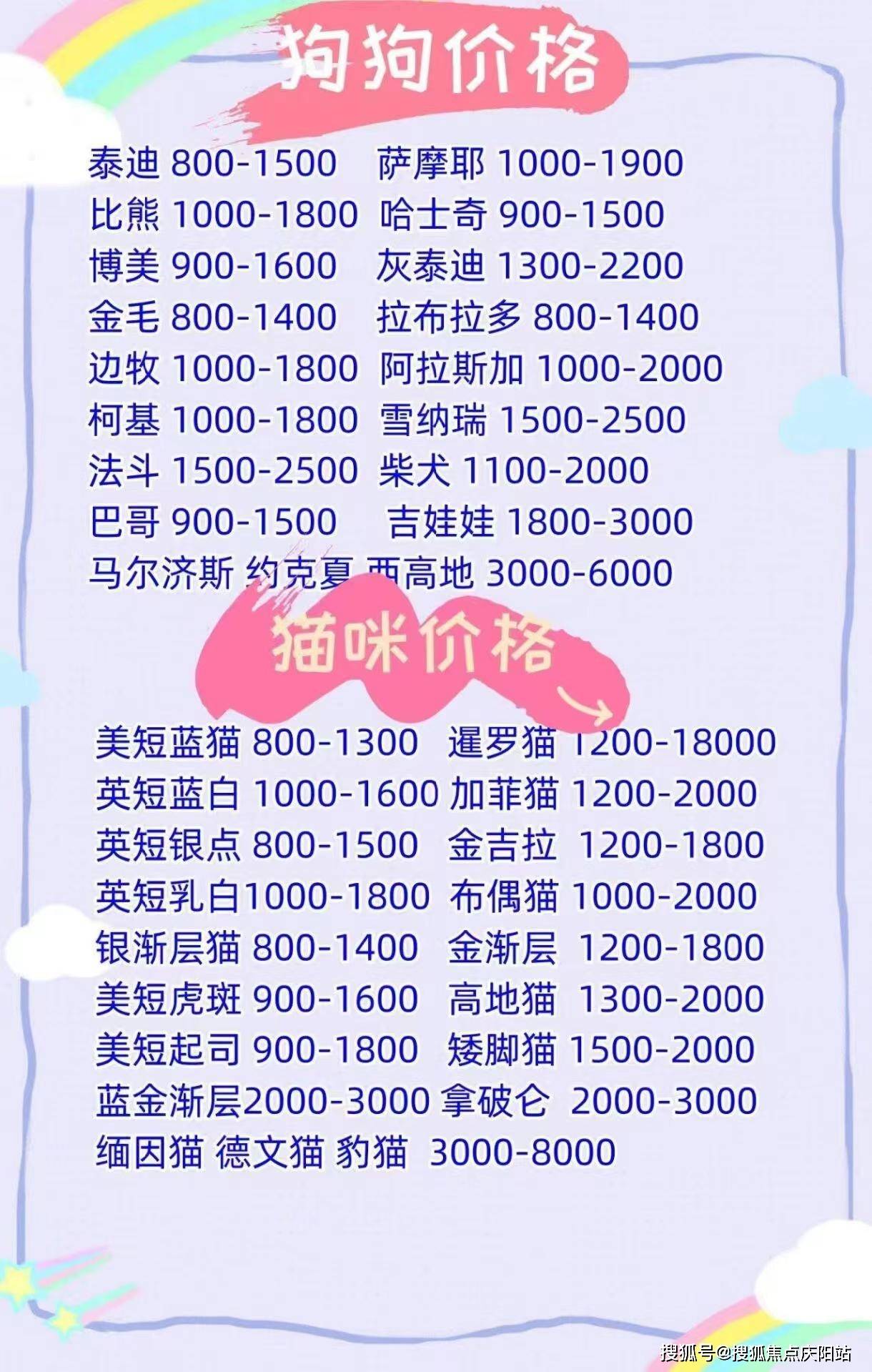 福州买银渐层首页网站丨银渐层猫多少钱一只福州银渐层猫多少钱一只丨