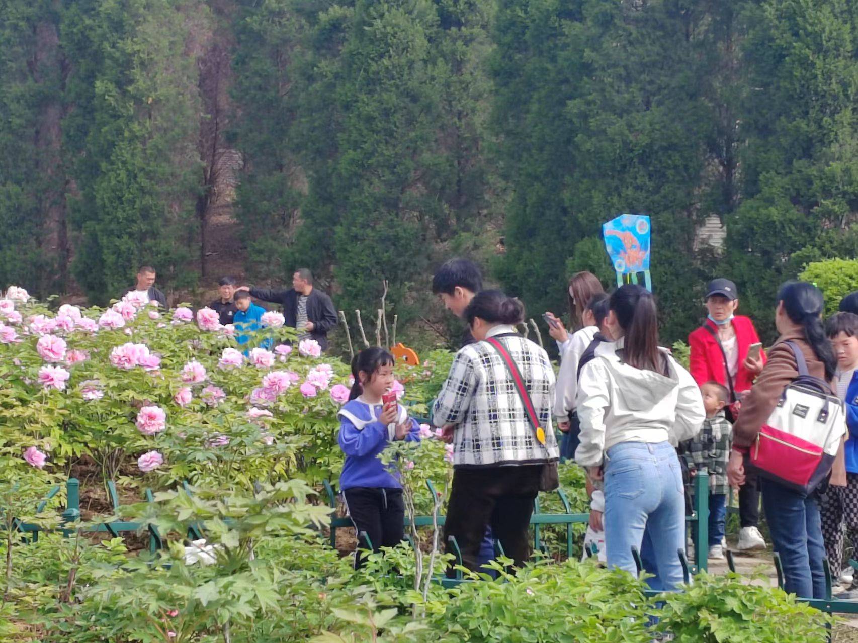 驻马店好玩的景点看花图片