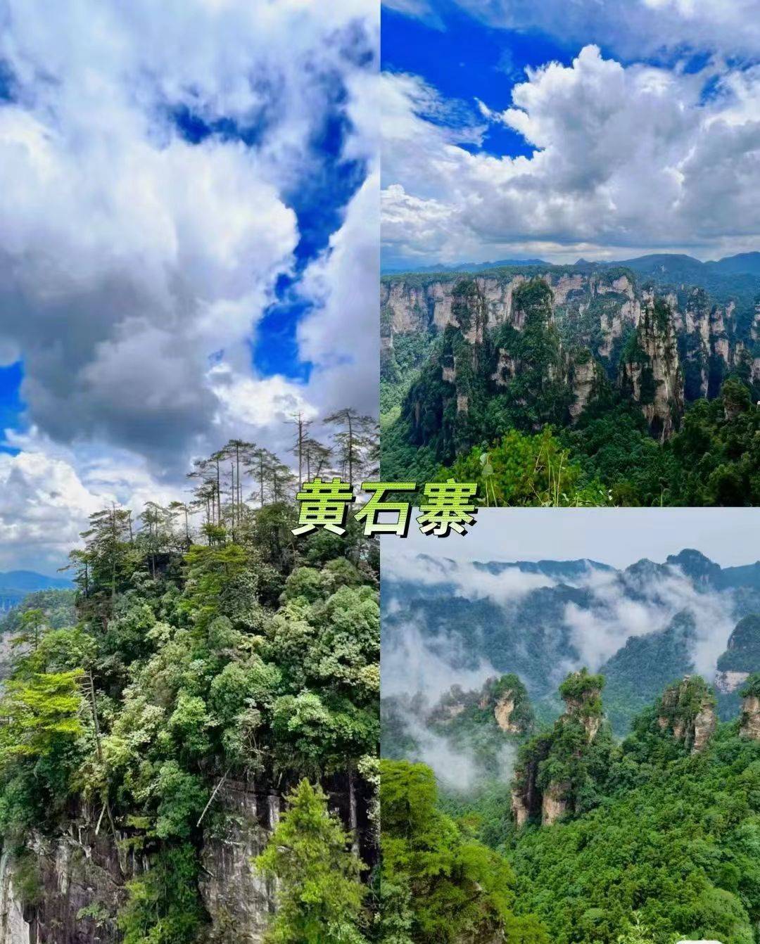 过来人说说从茂名到张家界的旅游攻略!_交通_景点_建议