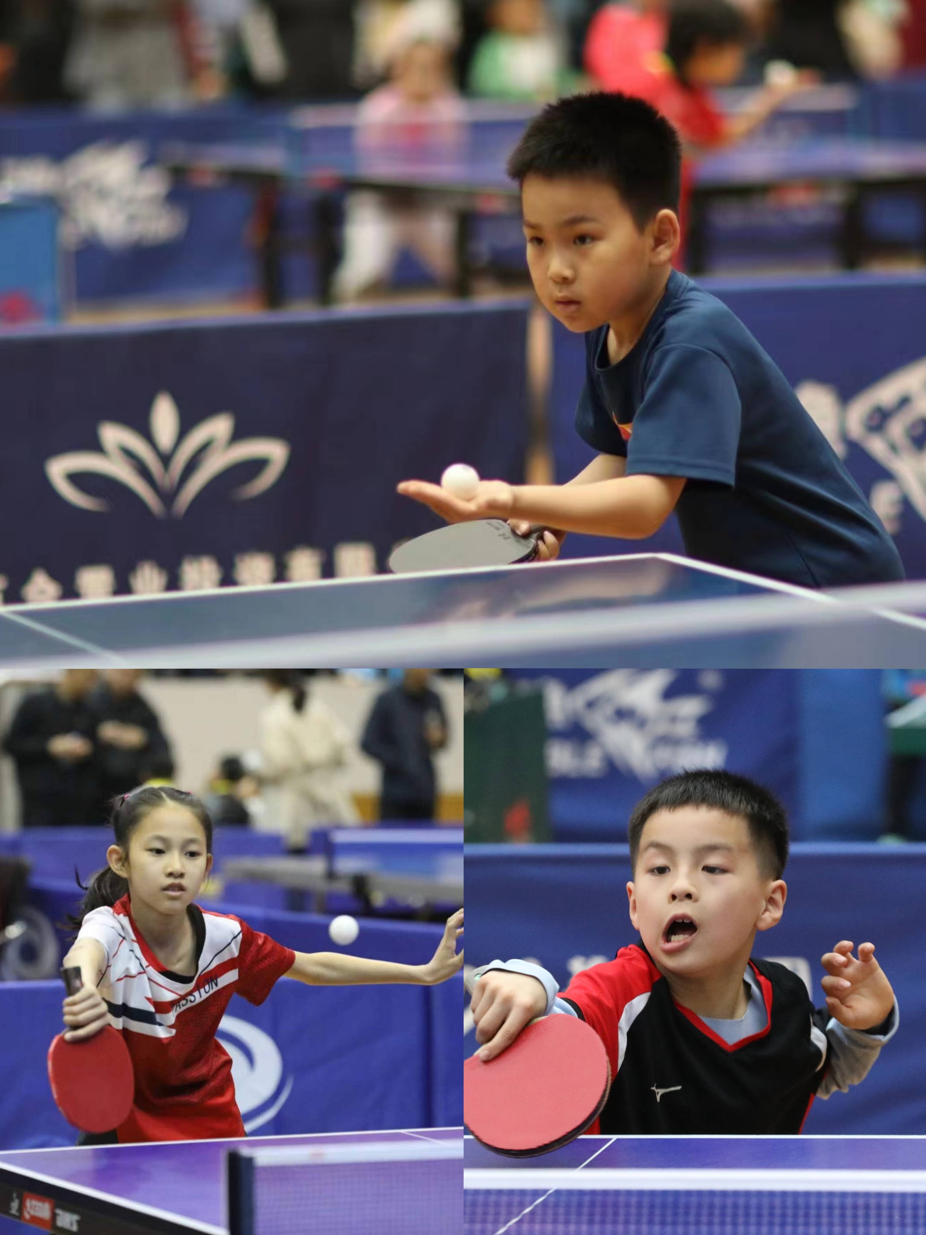陕西省第三届乒协杯少年儿童乒乓球联赛圆满收拍