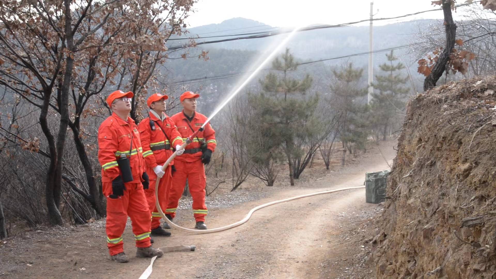 山西沁新以忠诚担当扛起守护责任为周边森林筑牢安全防线