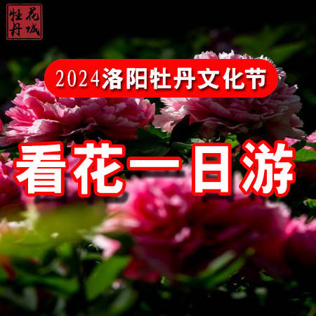 龙门东山牡丹园门票图片