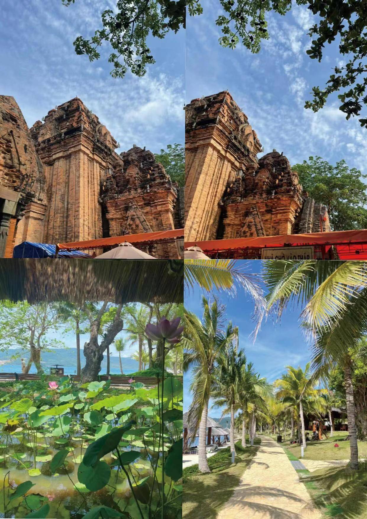 须要注意什么?_旅行_景点_软件