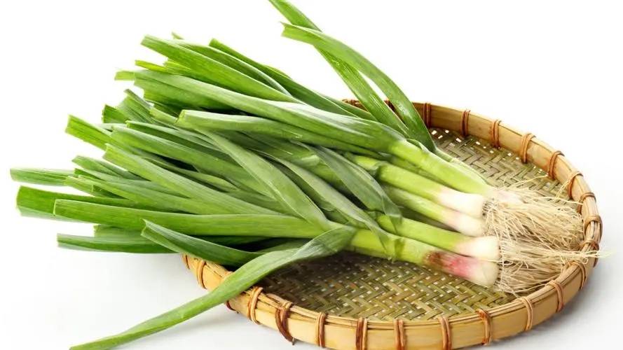 蒜苗(百合科葱属植物)