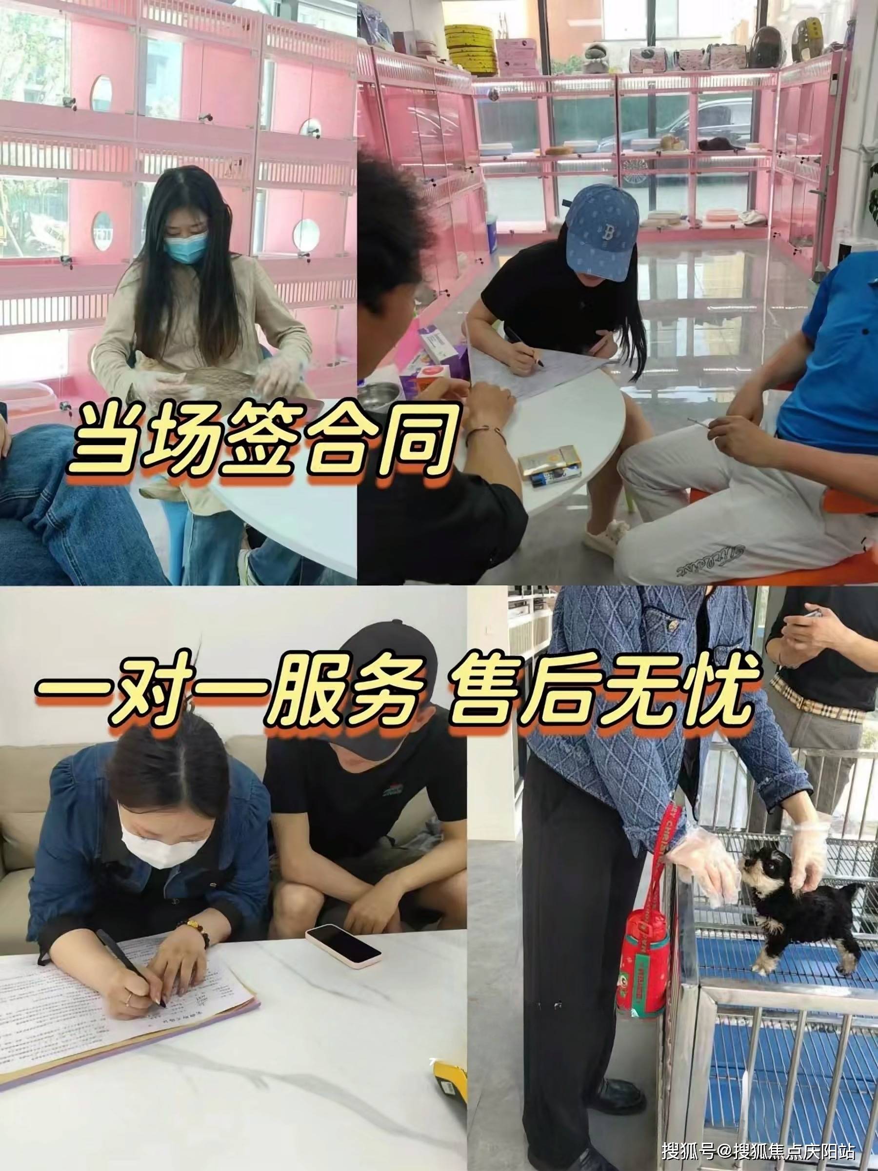 买宠物首页网站宁波镇海区口碑好的宠物店在哪里