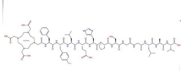 DOTA-Phe-Tyr-Leu-Glu-His-Pro-Ser-Gly-Gly-Leu-Ala-Val-COOH可合成多肽药物-Hypeptide