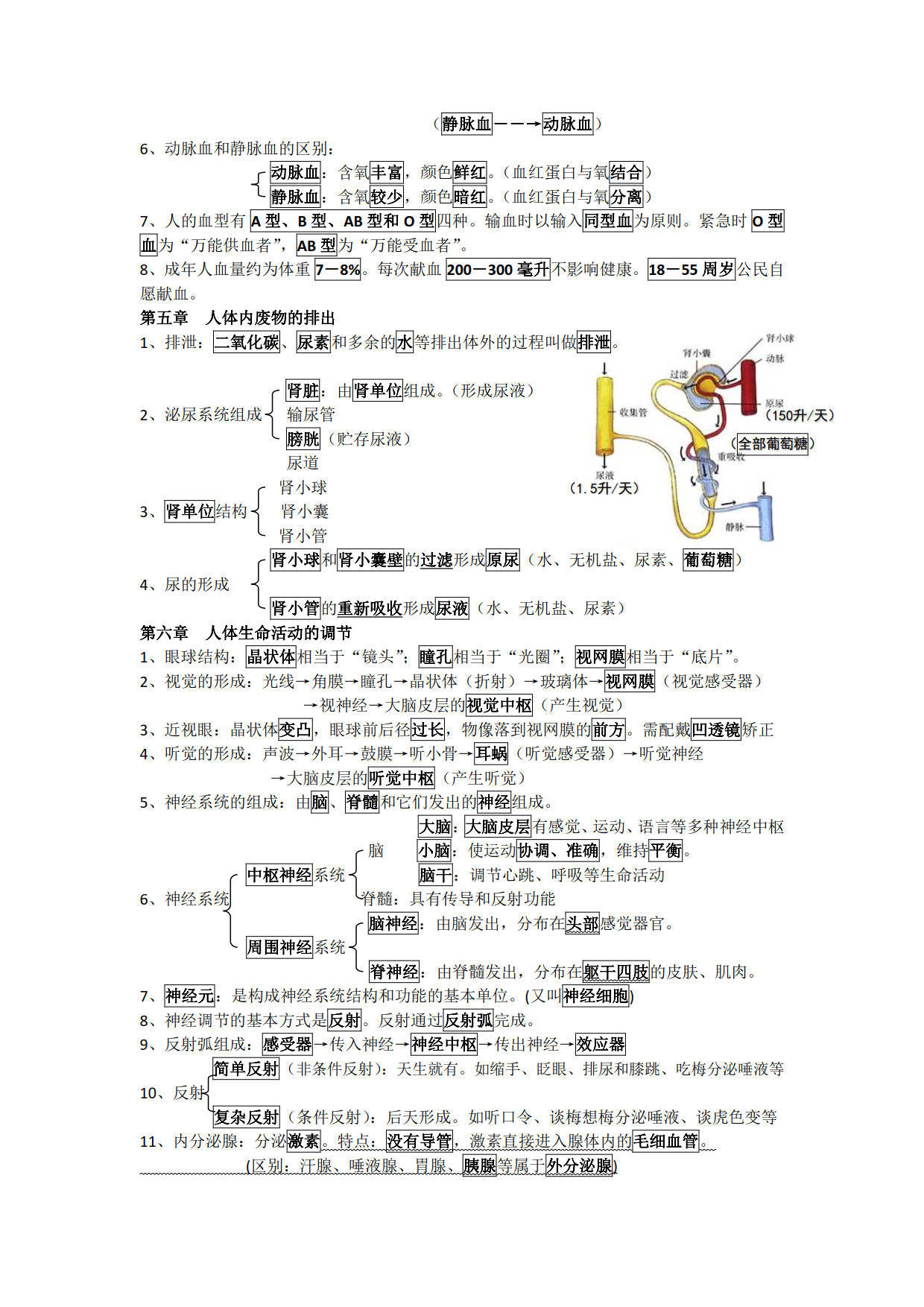 中考生物复习知识点提纲