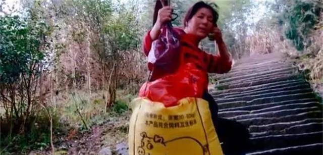 泪目大山里女挑夫汪美红磨坏120双鞋供出两个重点大学生