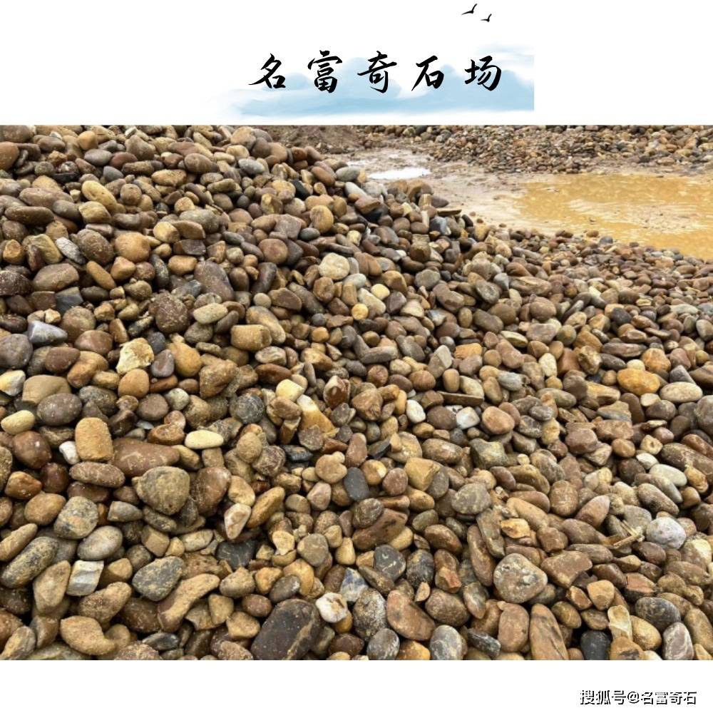 深圳鹅卵石批量厂家园林景观道路铺装鹅卵石铺装方式