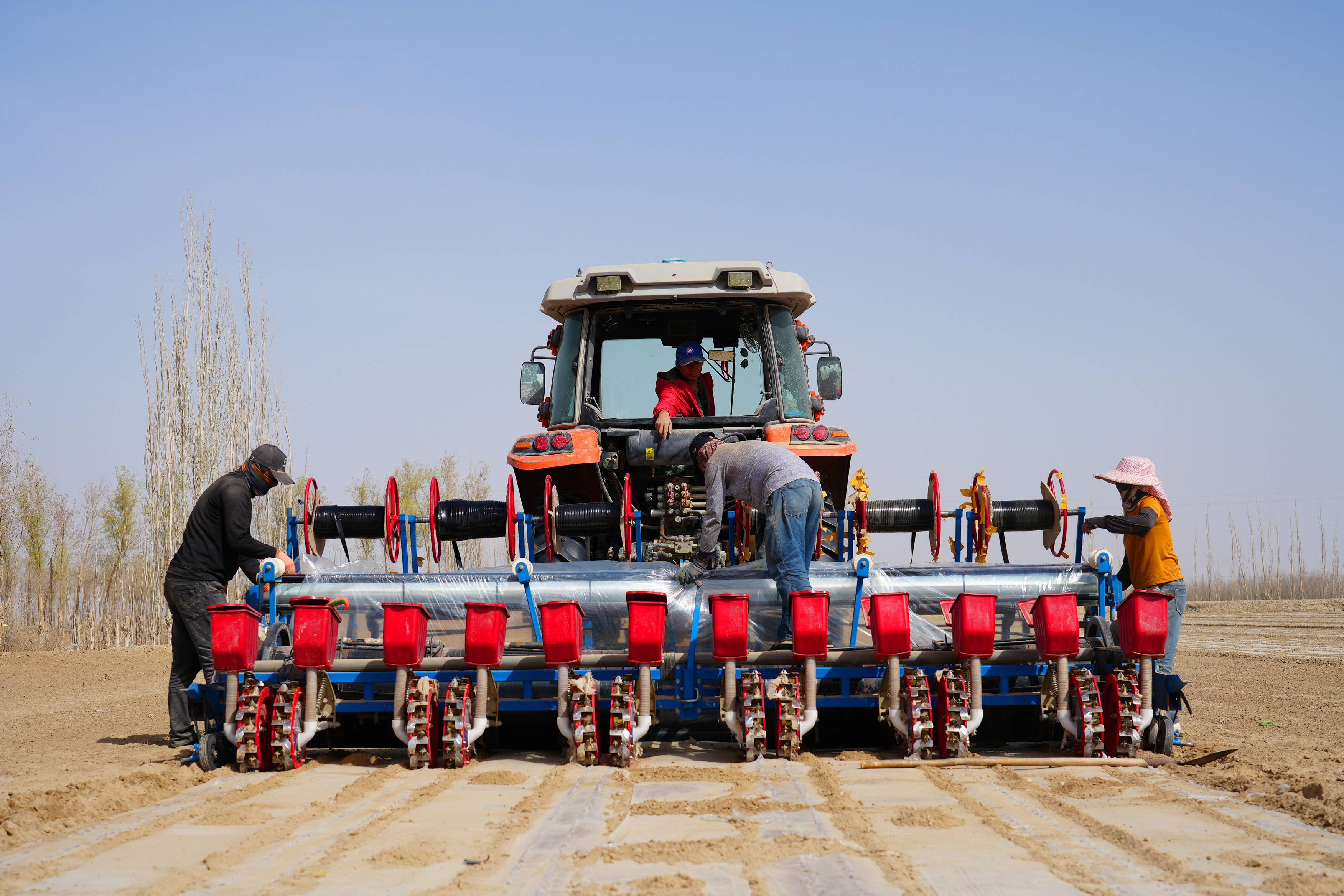 若羌万亩棉田播种启幕 机械化种植尽显"科技范儿"!