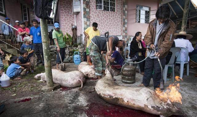 原创中国人吃肉杀生为什么一定要放血是老祖宗留下的传统