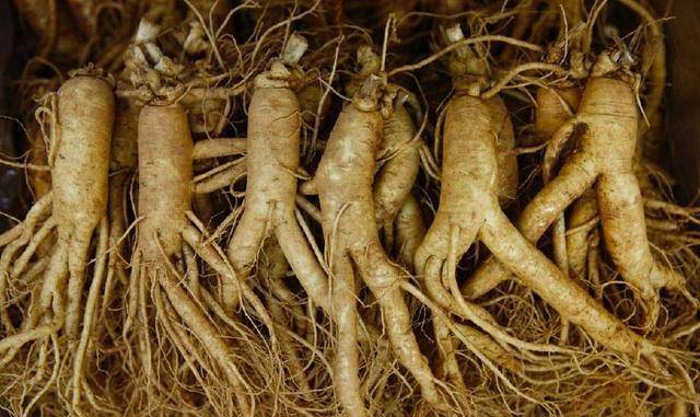 原创这个国家卖给中国一种中草药后赚了一大笔如今已成发达国家