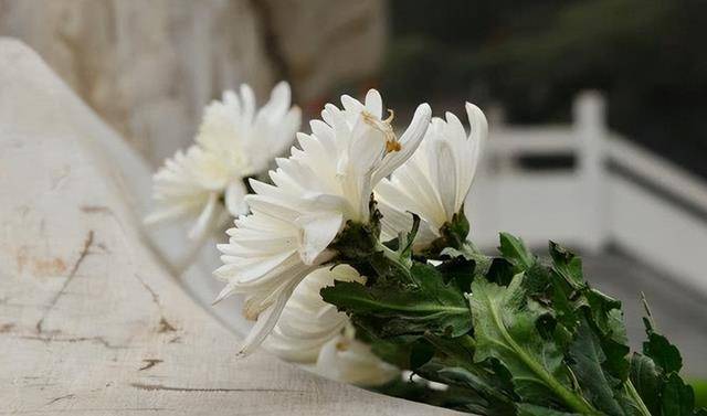 为什么不能睡死人生前睡过的床?并非迷信,越亲近越要忌讳