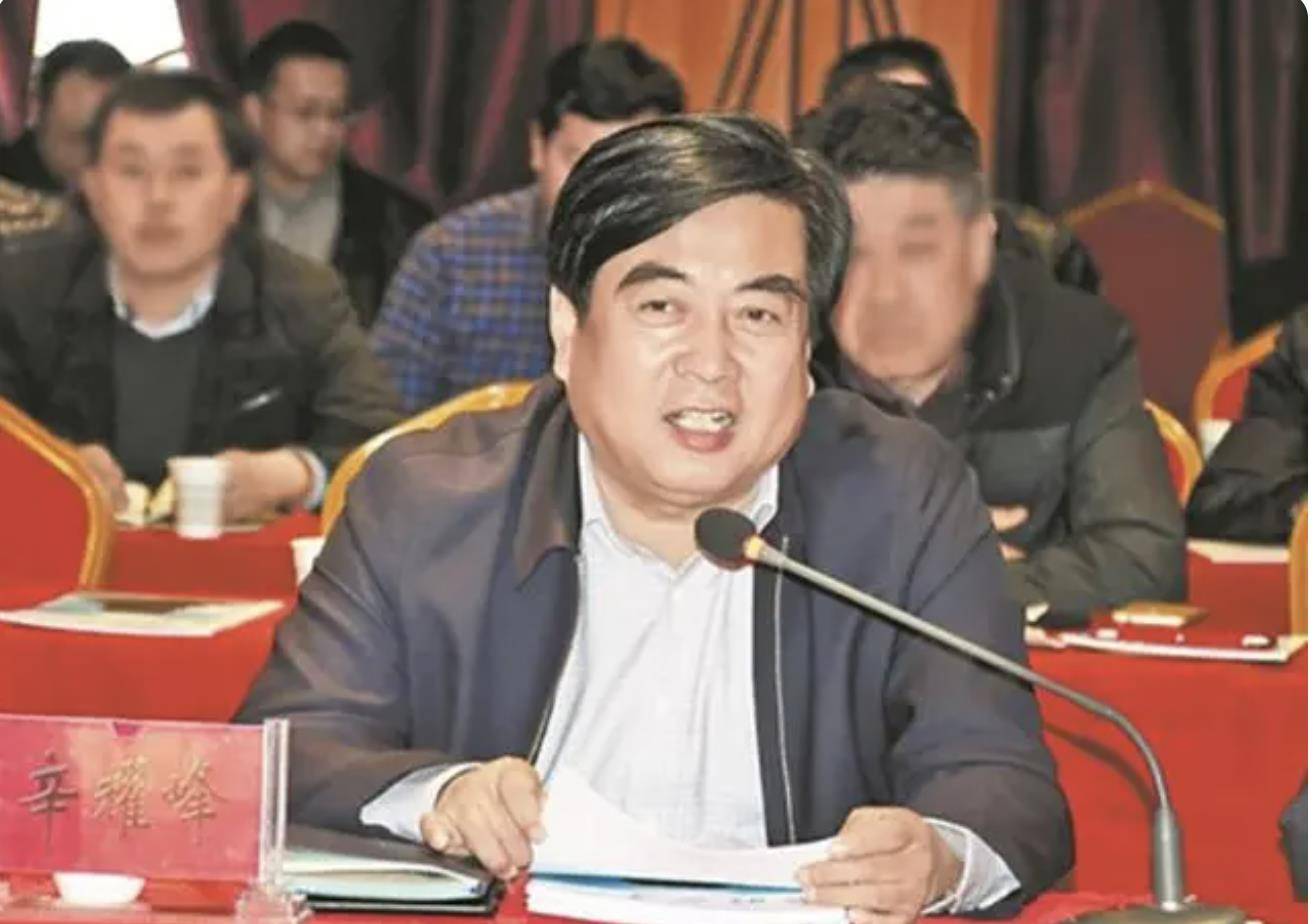 回顾陕西县委书记天价买官被骗一个职位695万政府背6亿债