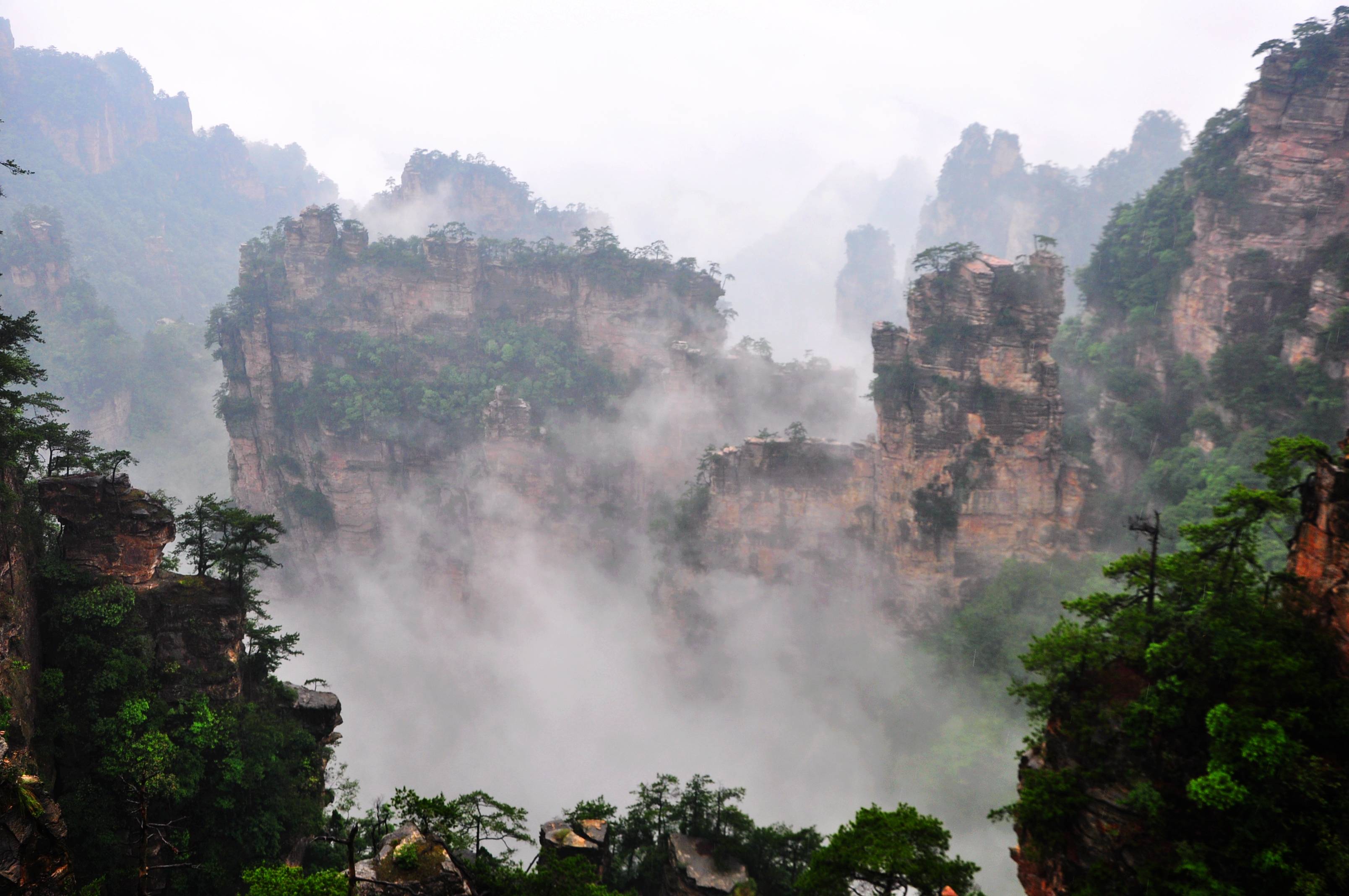 张家界杨家界景区图片图片