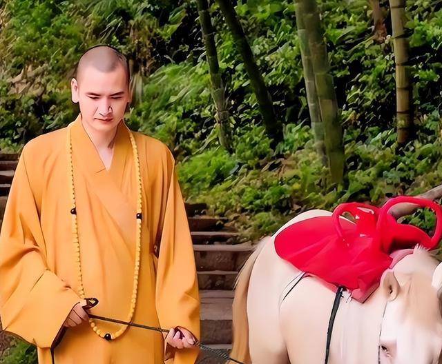 80后帅和尚释明心放弃铁饭碗剃度出家富婆送400万法拉利求婚