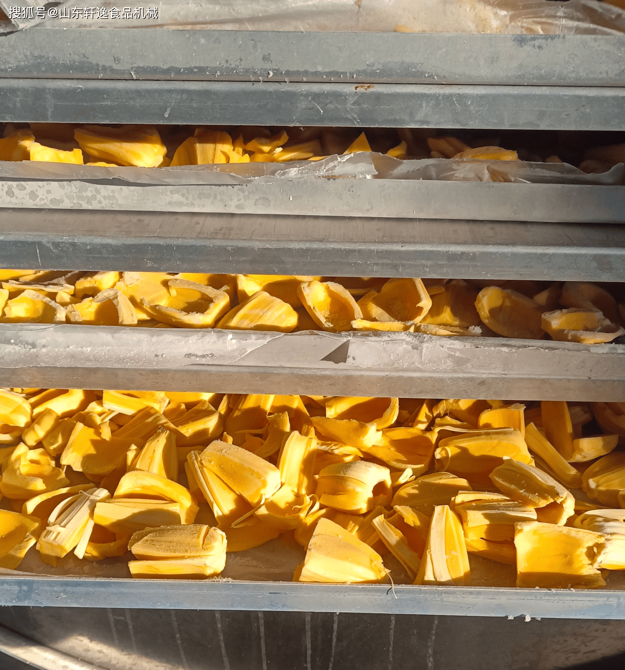 菠萝蜜冻干机加工的水果储存多长时间