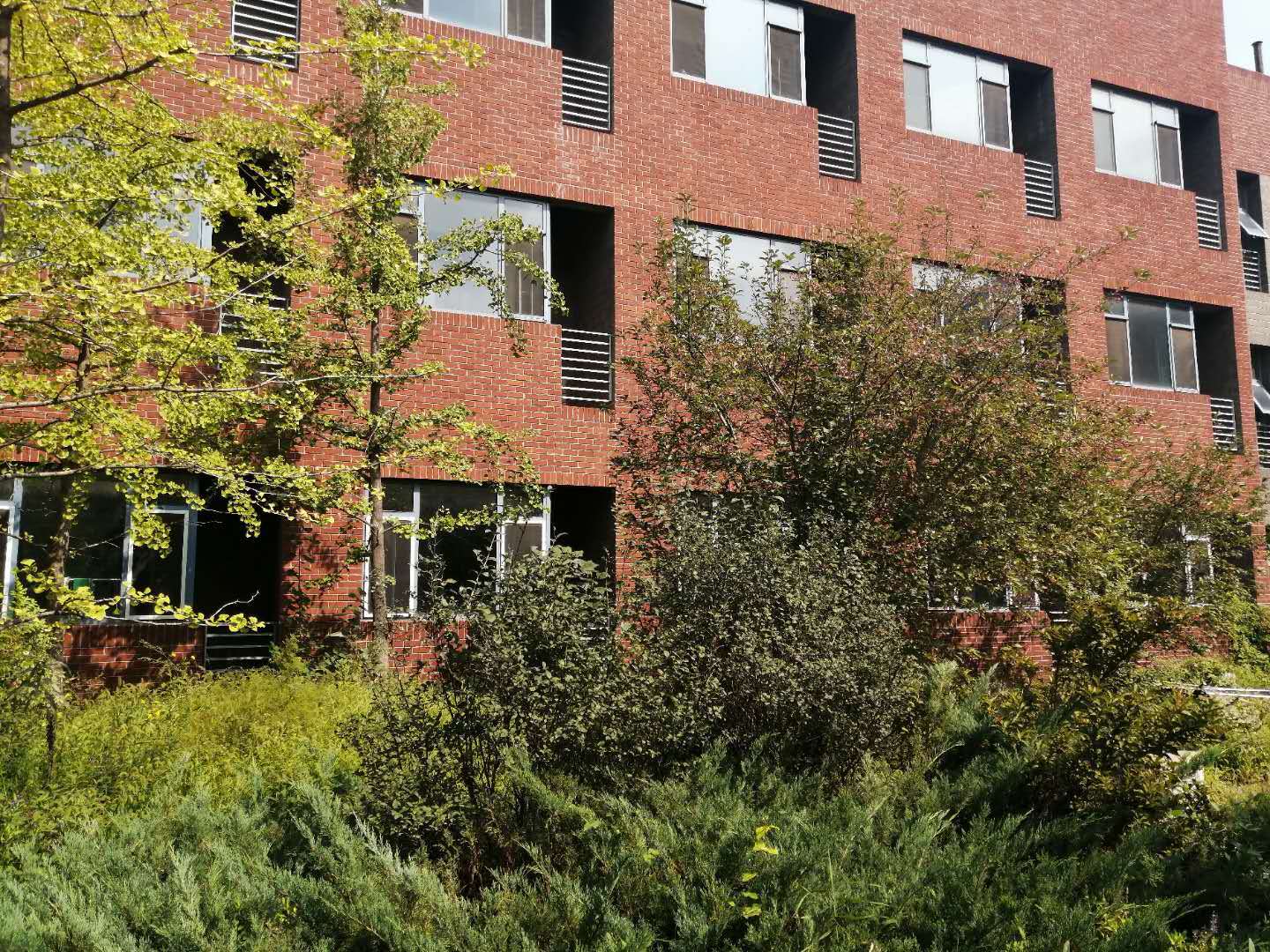 沈阳技师学院,管理好!