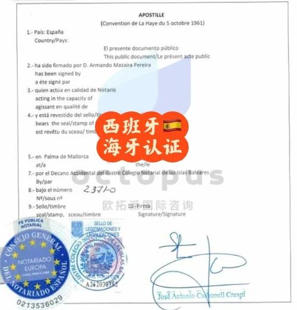 西班牙海牙全知道,小白也能变专家_认证_文件_教育