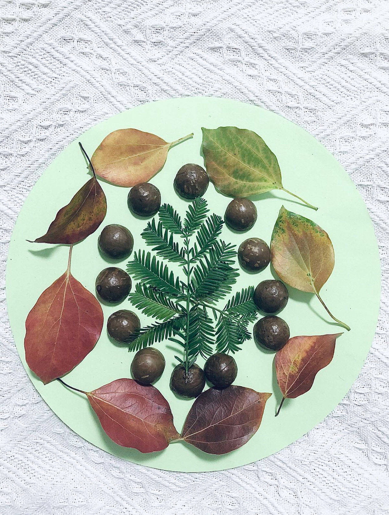 做圣诞树,做花~捡着捡着,发现摆树叶很治愈人.