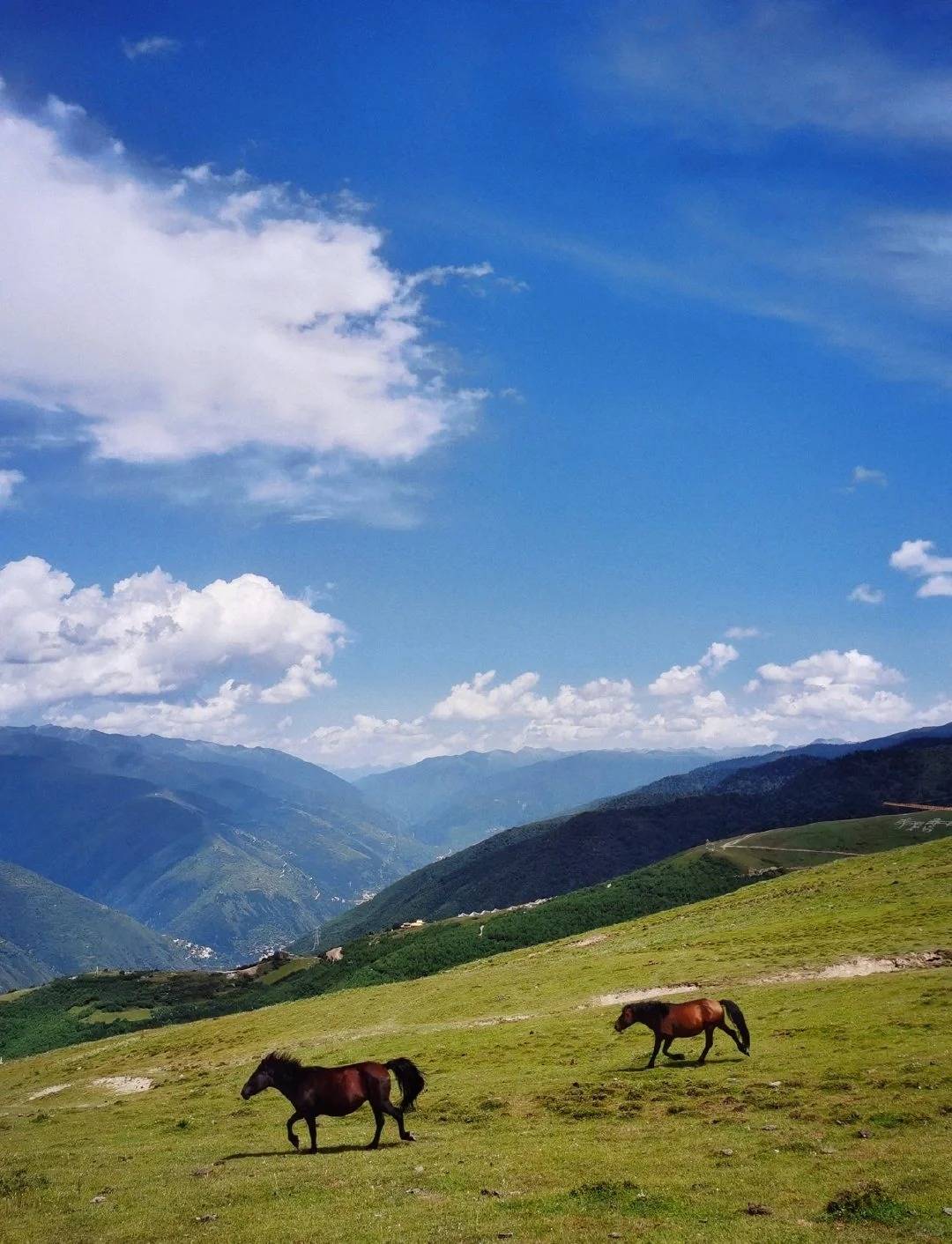 成都川西周边人少无门票的小众露营景点有哪些_马尔康