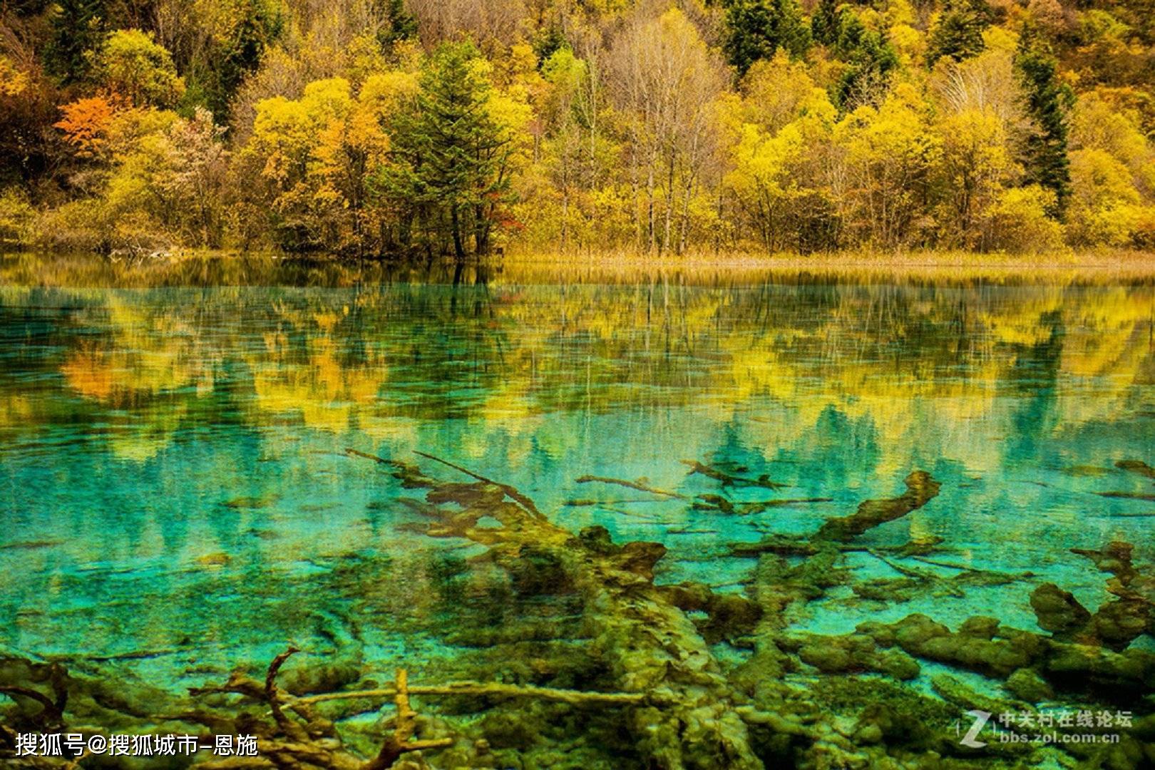 四川旅游攻略旅行团5天4晚多少钱,省钱攻略!