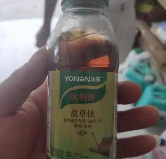 上海一初中生在河边喝了一瓶"水",后被送到医院抢救,结局如何