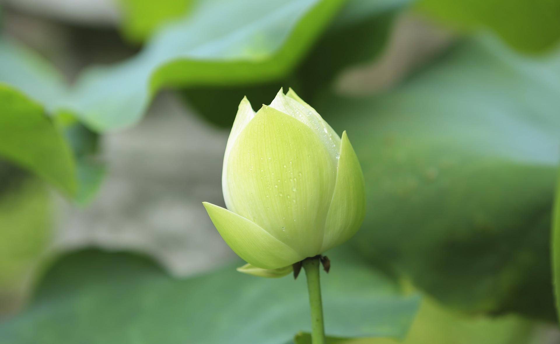 一个女人,旺自己的最好方式:优秀,学习,积极,得体