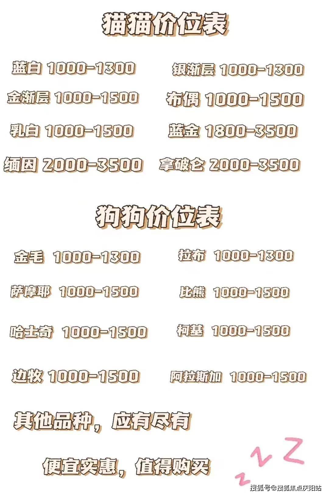 德阳买金渐层猫去哪里买