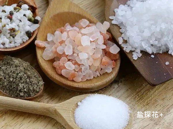 为什么说盐是百味之王_Salt_人类_宾客