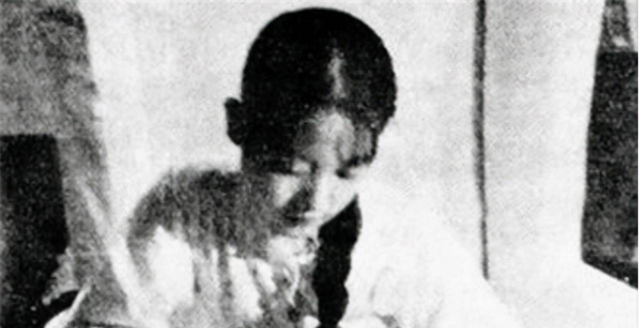 父亲称帝,痴想当太子,晚年忠心老仆给他吃菜叶_袁世凯_报纸_袁静雪