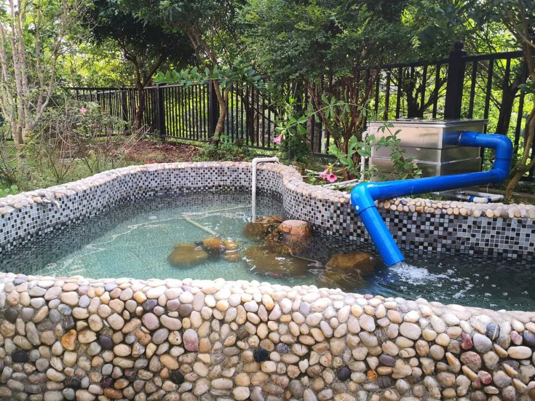 锦鲤鱼池设计需要注意什么?