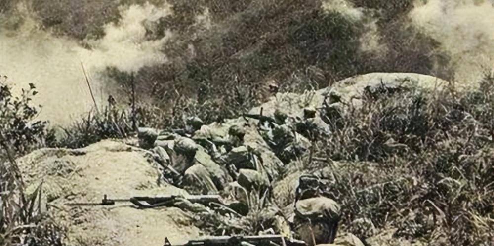 79年越南战败,黎笋提出中国实控线北撤100公里,杨得志怒道:打