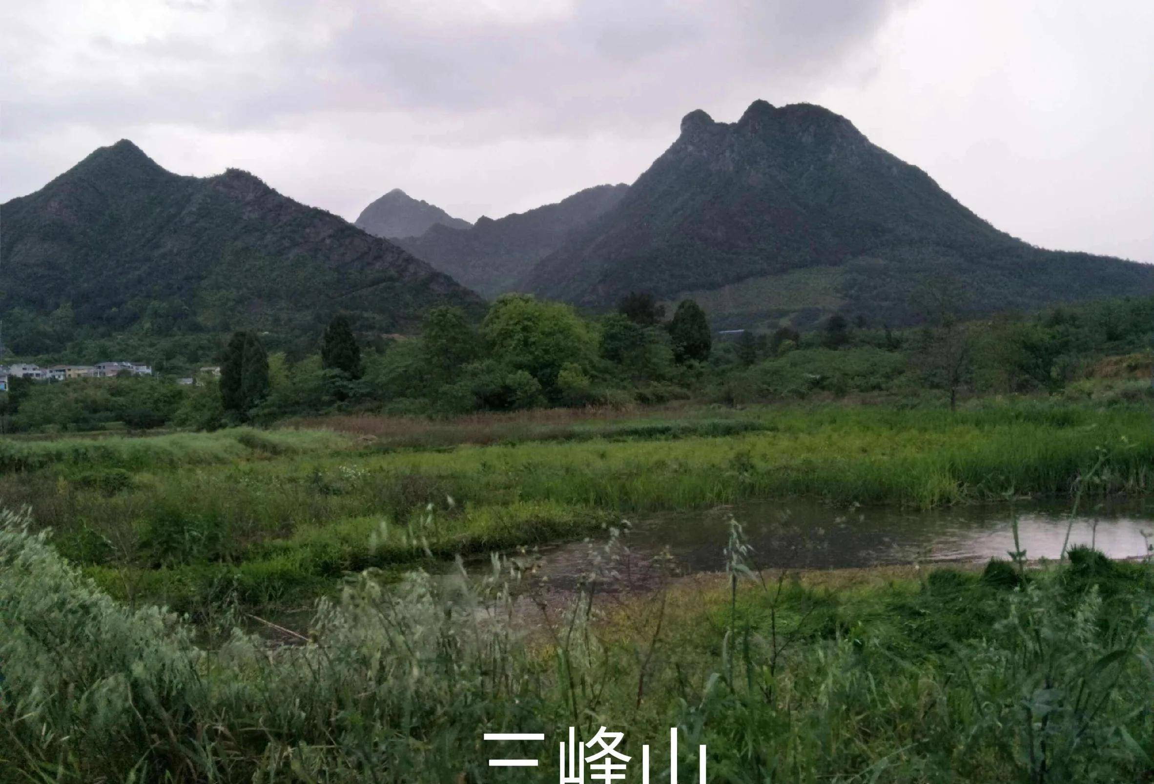 一支战略偏师打出主力的效果,拖雷4万精骑三峰山聚歼15万金军