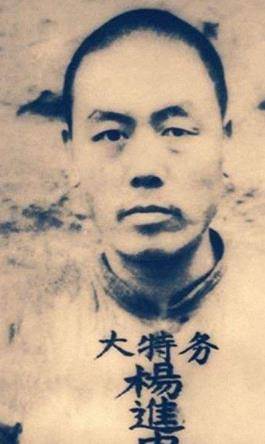 杀害杨虎城的真凶,隐姓埋名躲藏在乡村,因夫妻吵架暴露身份