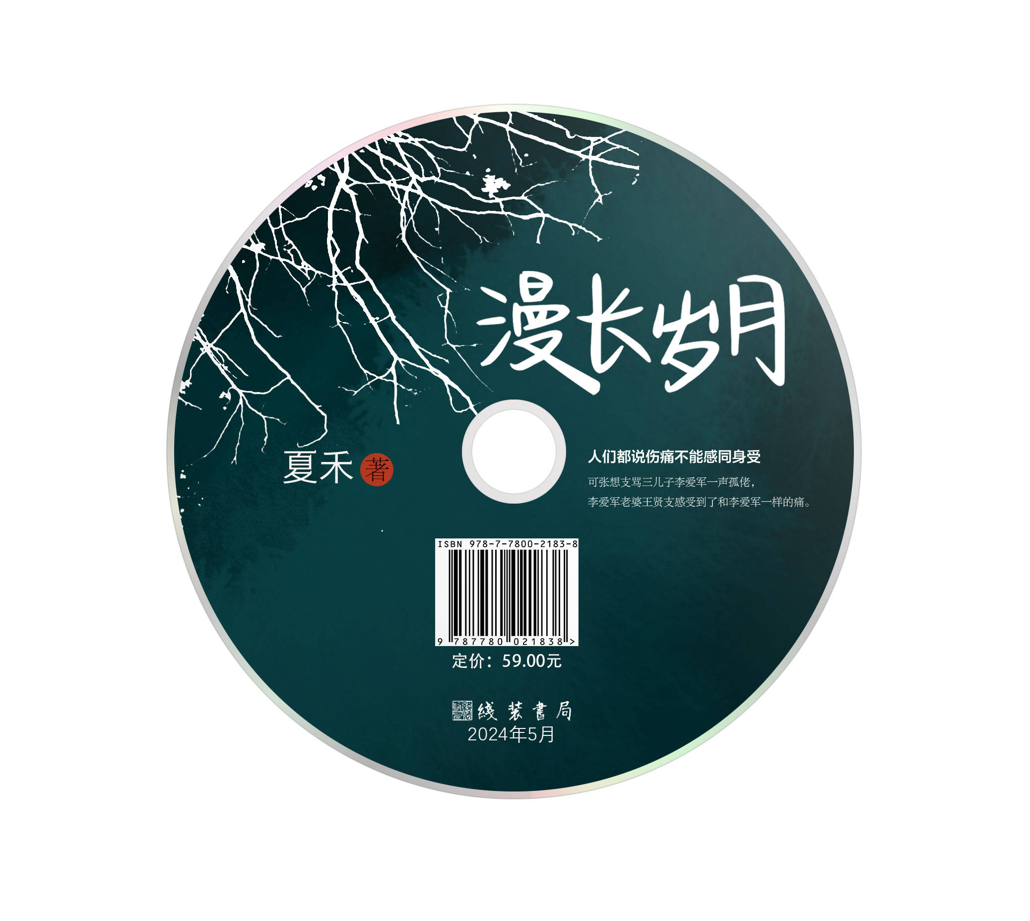 电子书《漫长岁月》夏禾/著 汲文天下新书出版