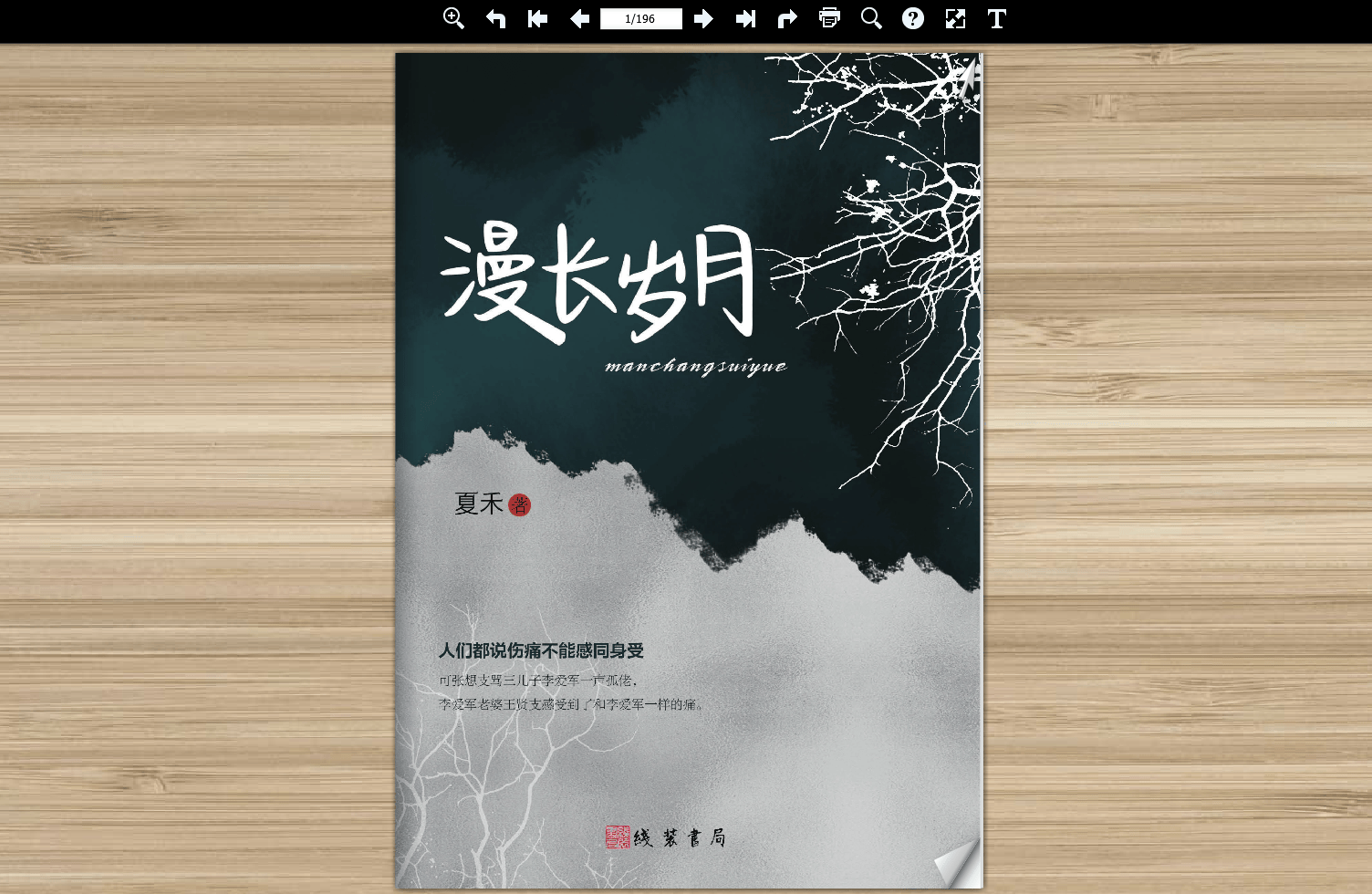 电子书《漫长岁月》夏禾/著 汲文天下新书出版