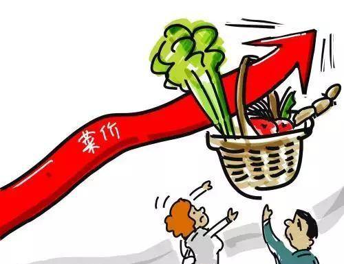 蔬菜价格行情趋势分析:苦瓜,生菜近期上涨,茭白,香菜持续高位_市场