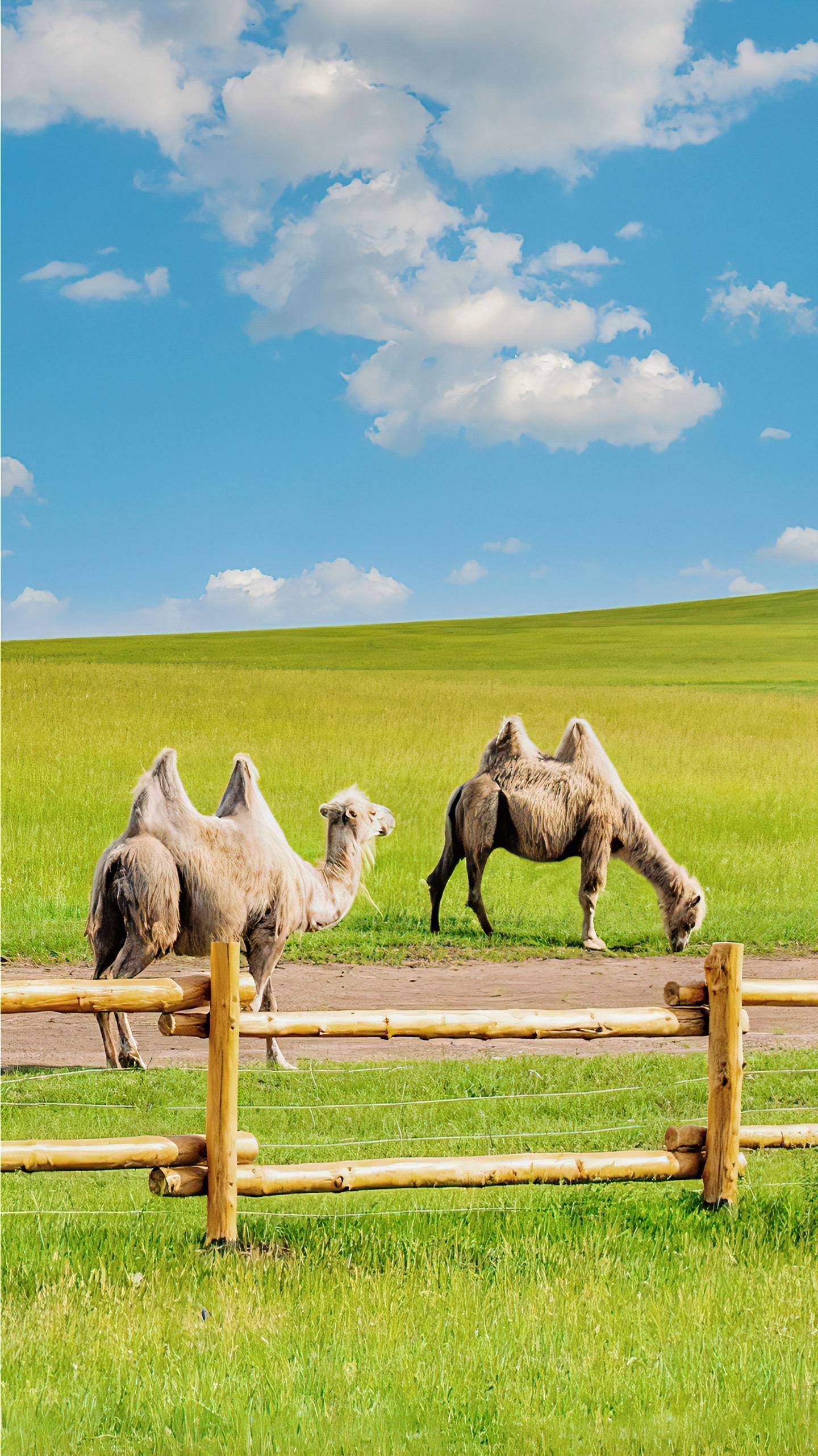 day2海拉尔出发草原深度穿越莫日格勒河>额尔古纳湿地日落>额尔古纳
