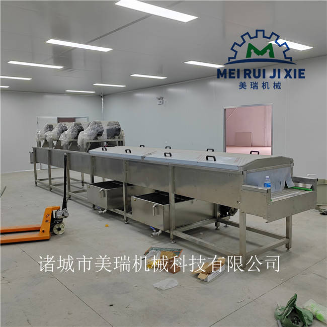 厂家供应可提升大型气泡清洗机 蔬菜根茎叶类果蔬带提升类清洗机 美瑞