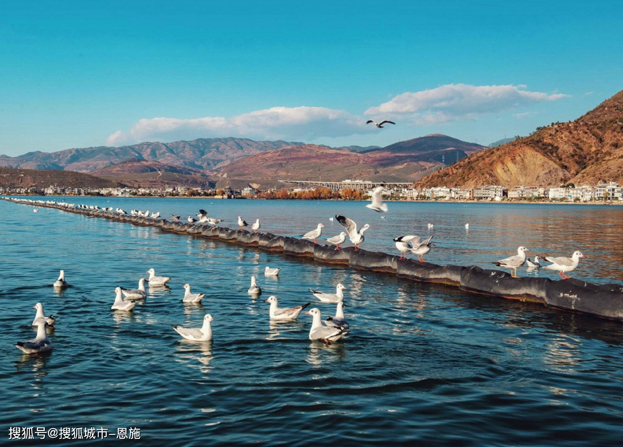 「广州出发云南旅游自驾游攻略」✅ 广州自驾云南旅游最佳路线行程