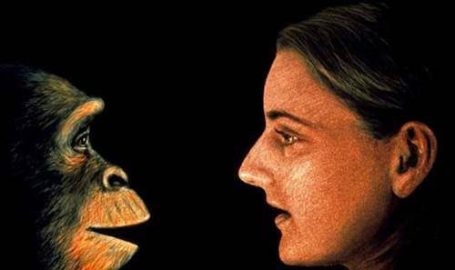 人类有过天敌吗?这种动物把人类远祖当美食,今人却爱养它的后代