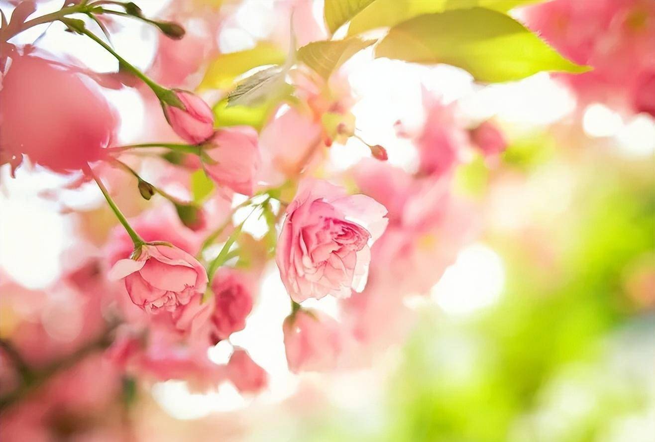 文:晴风图:网络若有侵权,请联系删除感情的世界中,我们都希望自己能够