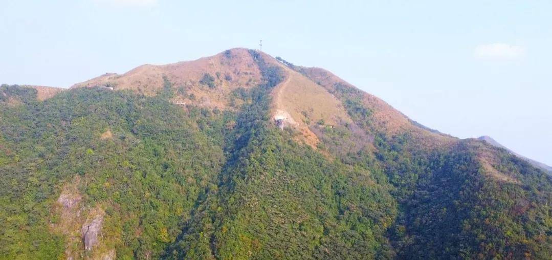 云飞嶂庞孝泰墓远眺(图中白点处)远眺云飞嶂正面朝山苍莽山上游客干净