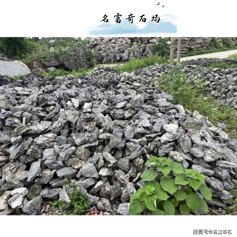湖南英石青龙石市场报价,青龙石厂家大量批发石-搜狐大视野-搜狐新闻