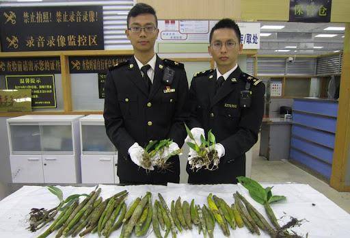 1975年日商参观湖南一工厂,中方热情相待,谁知三个月后损失巨大_日本