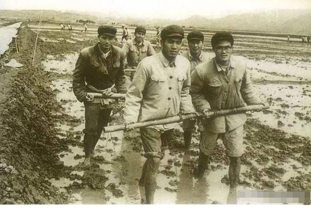 1969年汕头超强台风灾难,上万军民坚守不退,553人光荣牺牲_牛田洋